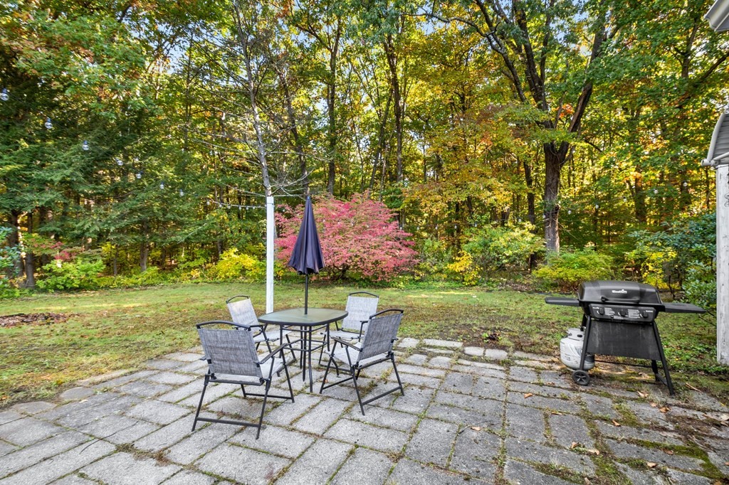 65 Glenvale Street Springfield, MA 01119 - Photo 38 of 39