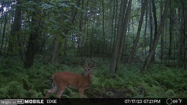 0 Carlisle Gap Road Lewistown, PA 17044 - Photo 34 of 53