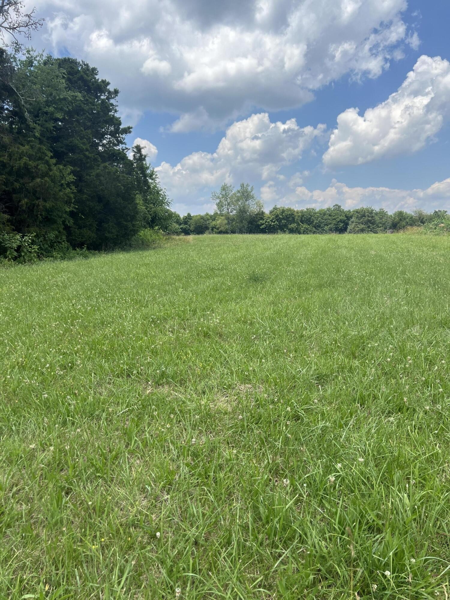 1 Valley Home Road Dandridge, TN 37725 - Photo 2 of 22 Gallery Image 2