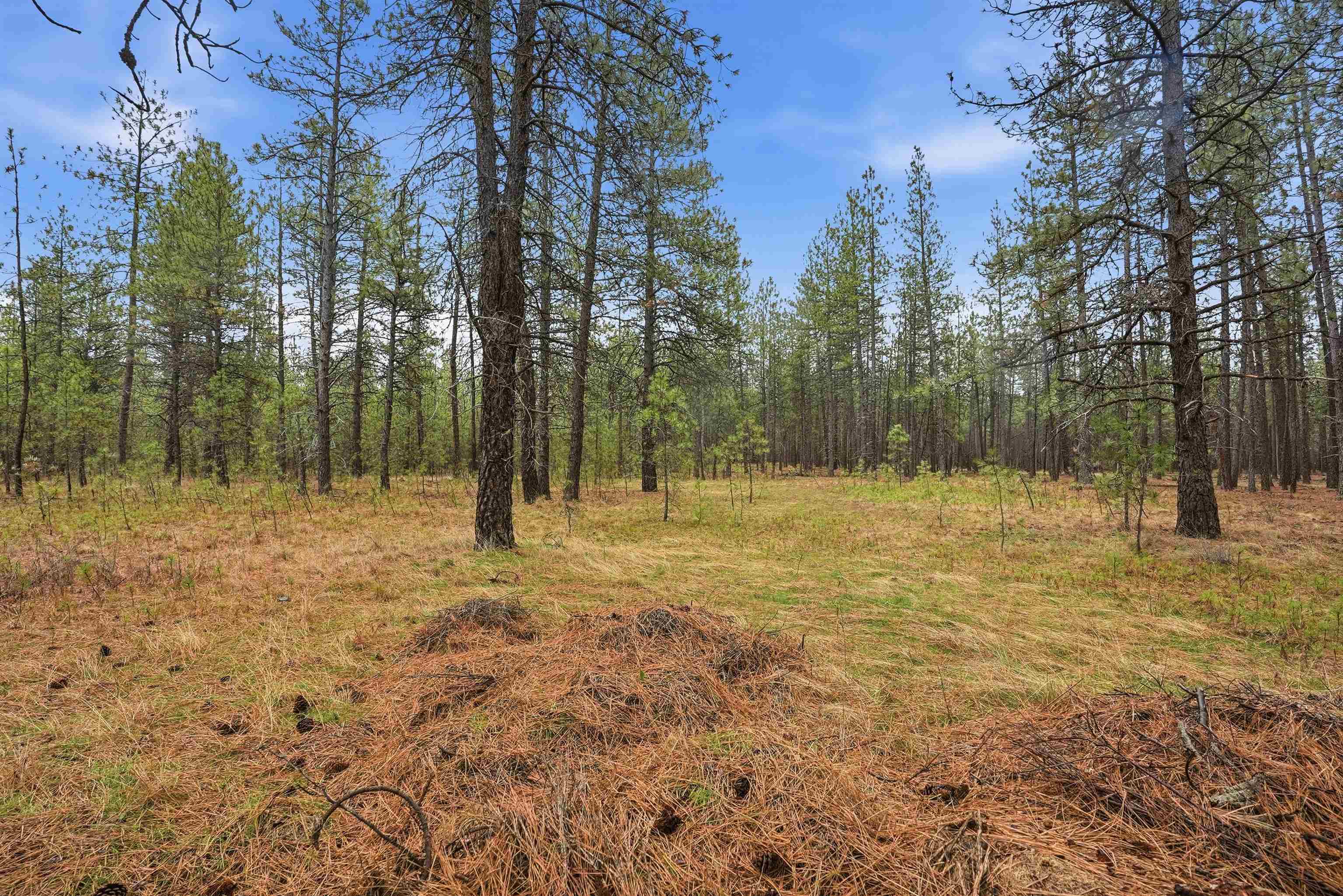 8011 South Spotted Road Cheney, WA 99004 - Photo 43 of 44