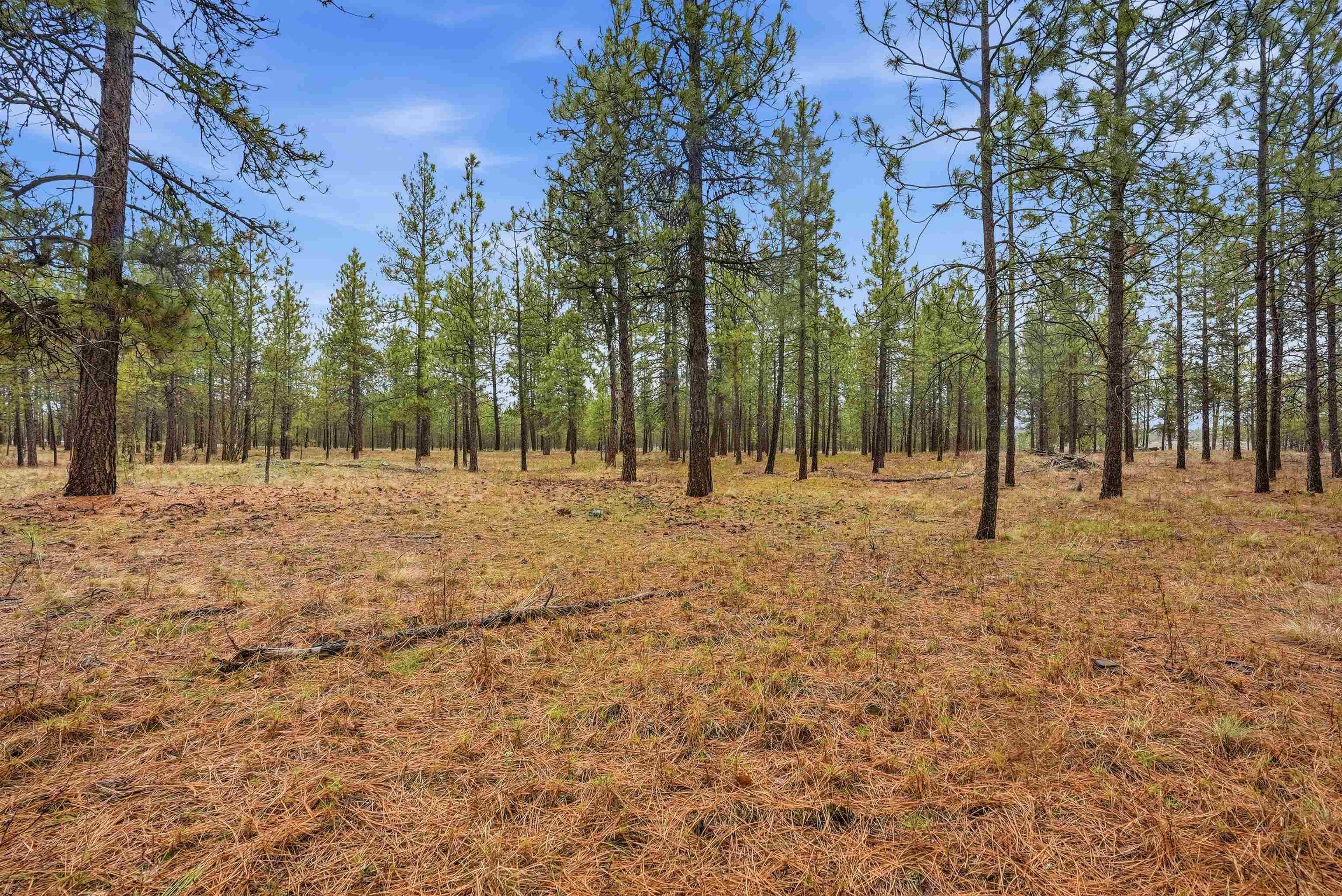 8011 South Spotted Road Cheney, WA 99004 - Photo 44 of 44