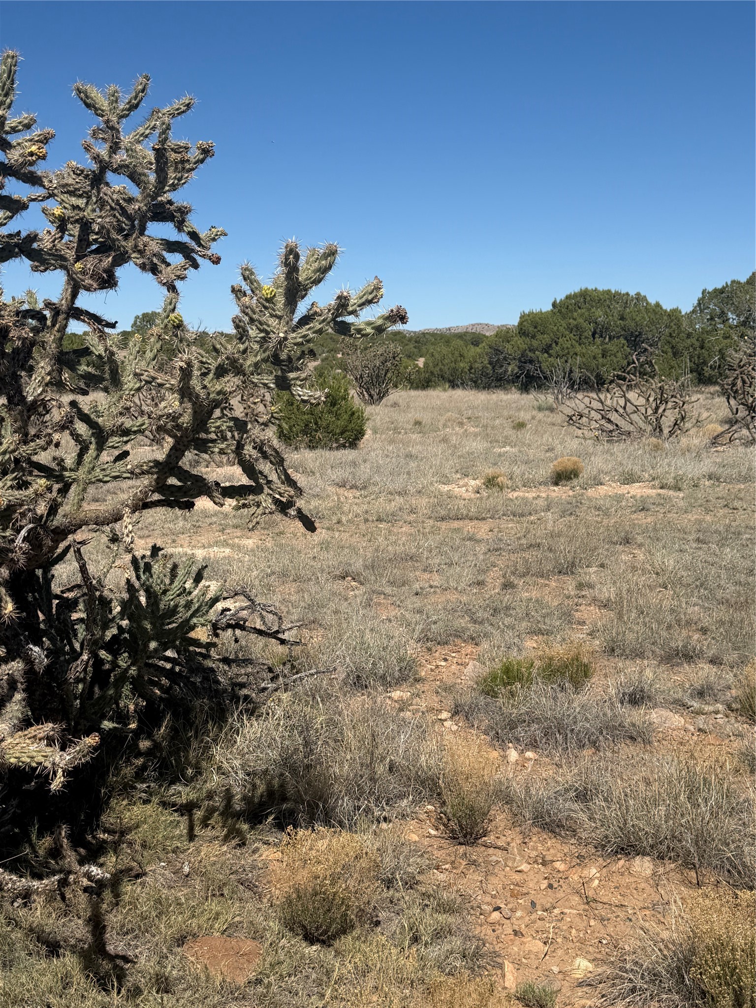 7 C Rancho De Shama, Unit B Cerrillos, NM 87010 - Photo 18 of 26