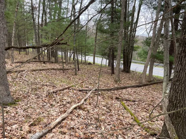 $79,900 | Parcel B Coates Highway, Brethren, MI 49619