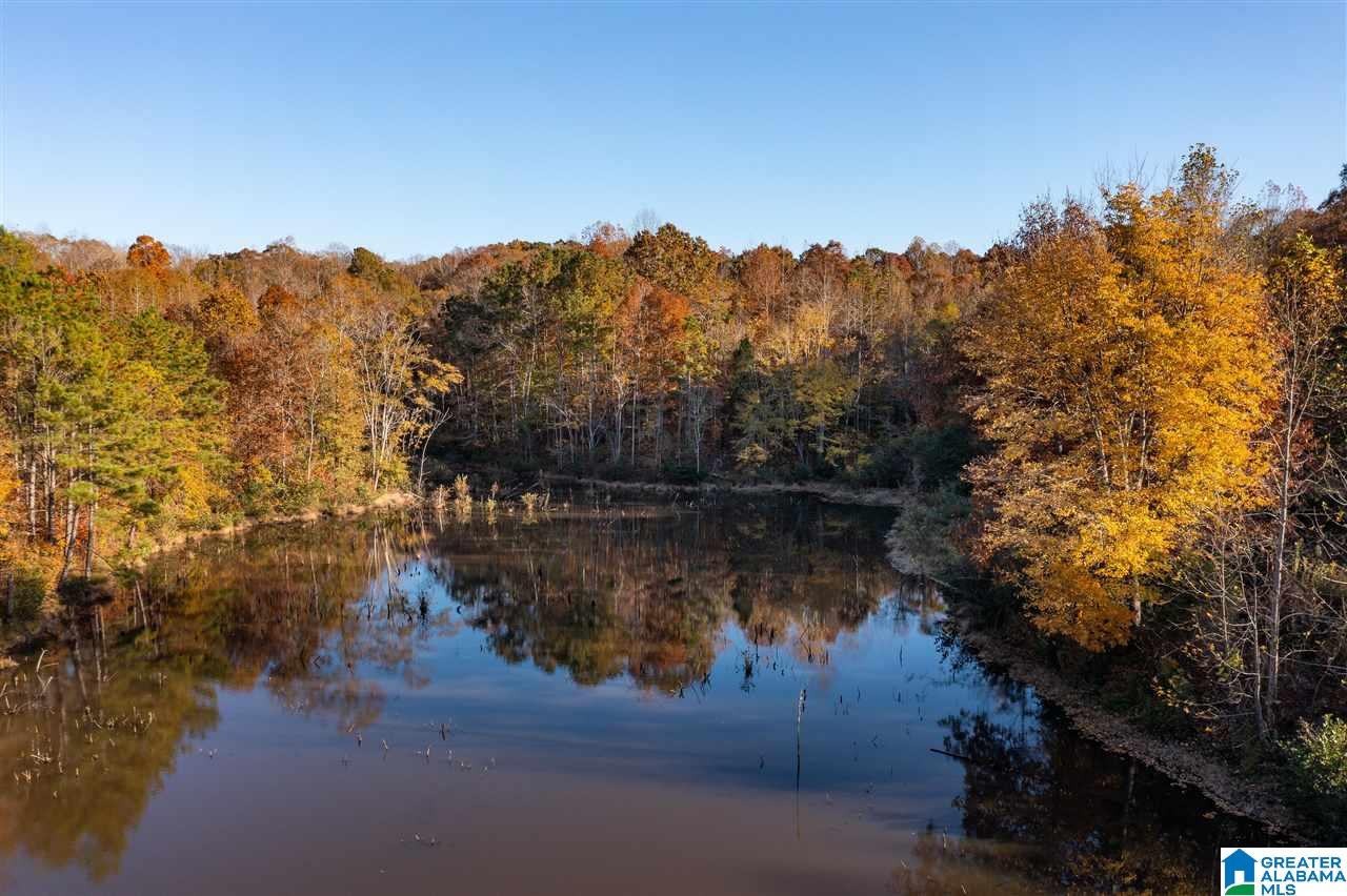 300 Henderson Lake Road Sylacauga, AL 35151 - Photo 19 of 20