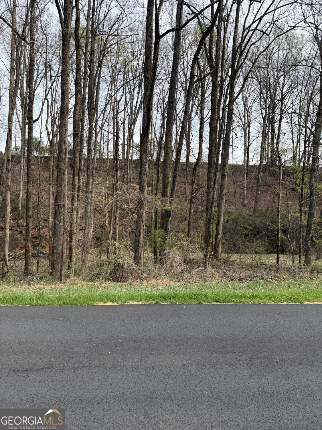 3400 Cagle Road Gainesville, GA 30501 - Photo 1 of 1 Gallery Image 1