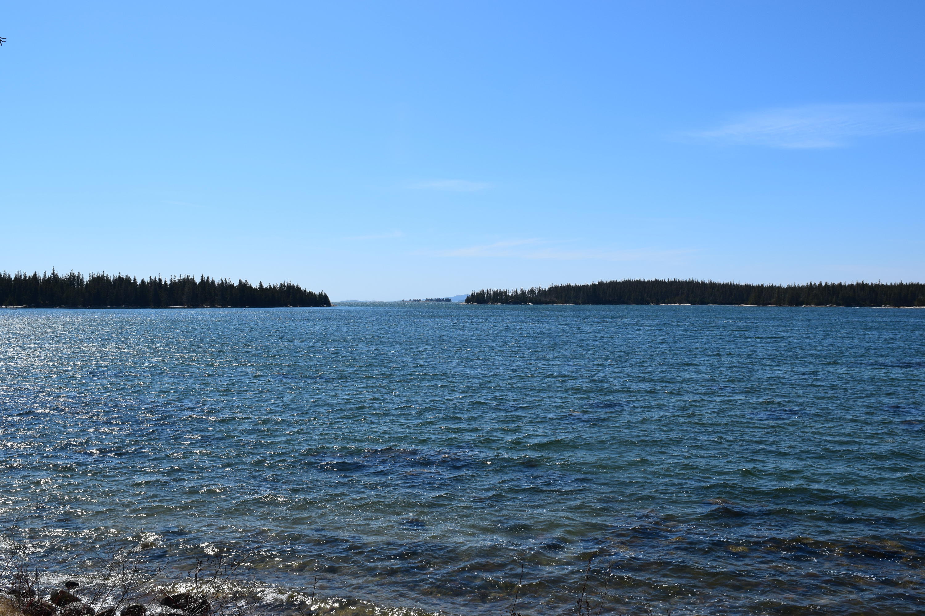 259 Back Road Brooklin, ME 04616 - Photo 3 of 16 DSC_0094