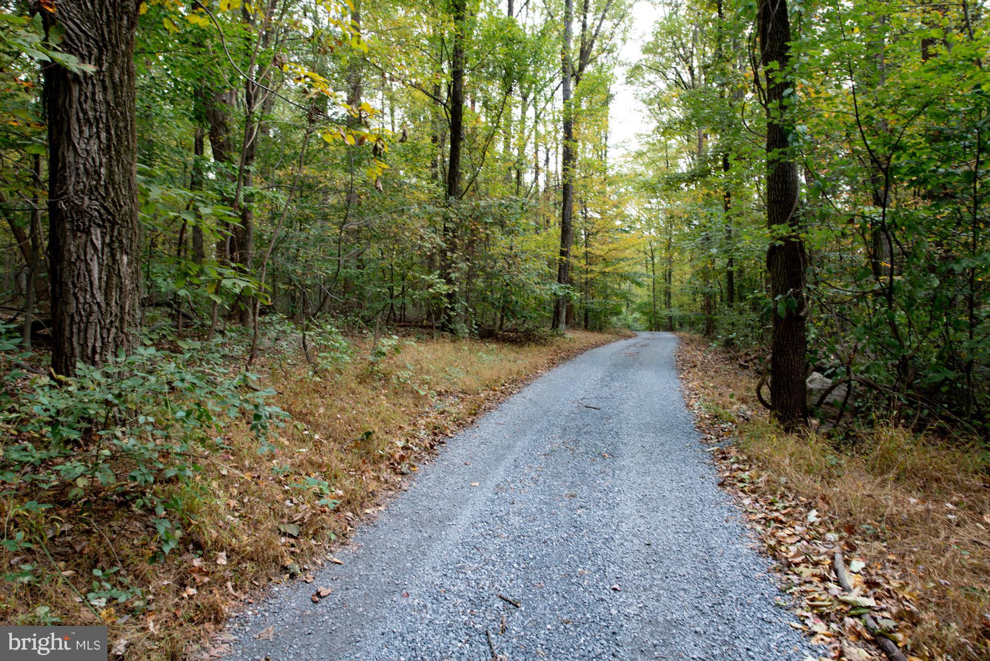 94 Adamstown Road Reinholds, PA 17569 - Photo 1 of 10 View 1 - Welcome to 10+ Acres