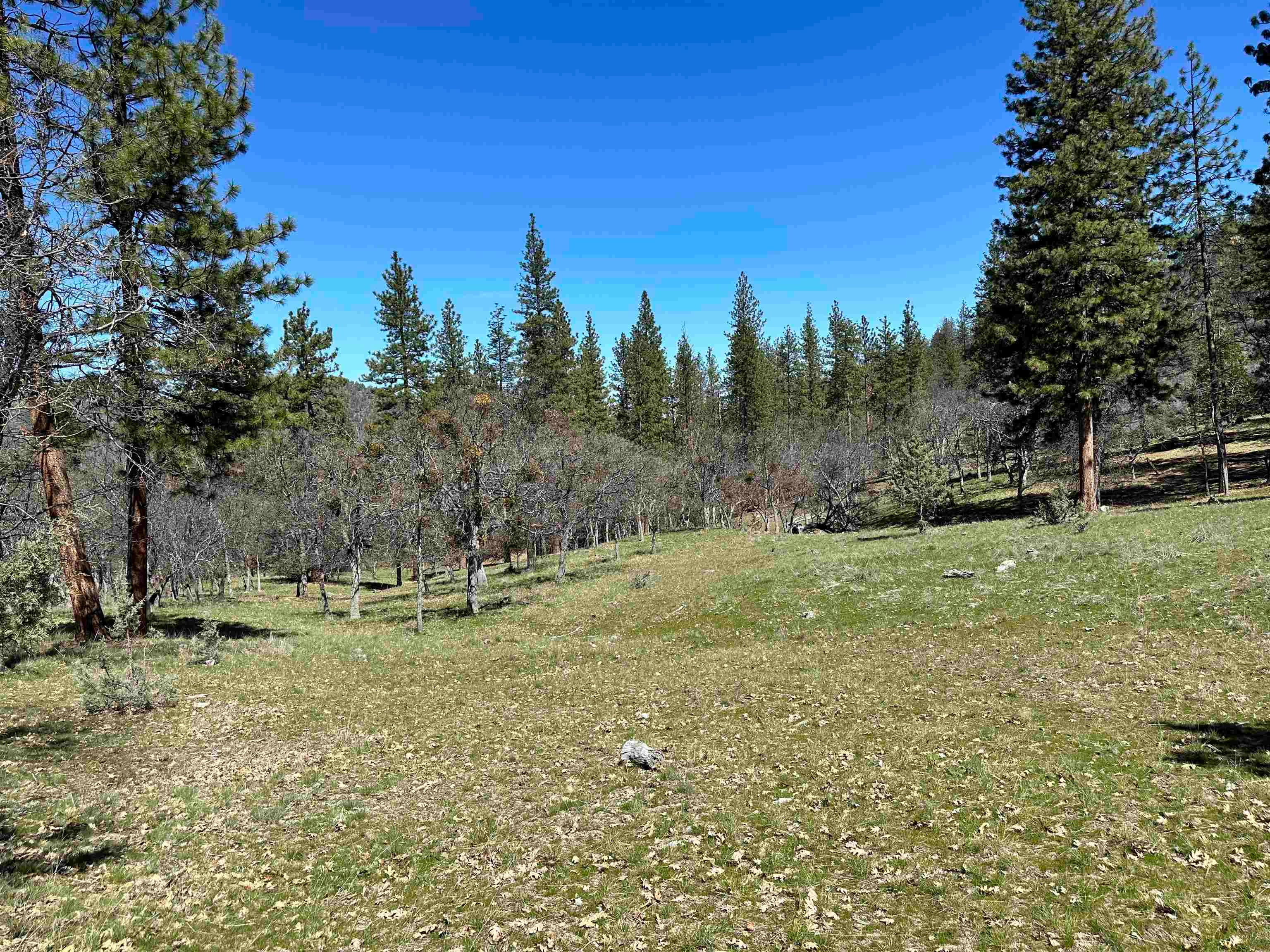 7226 Schulmeyer Gulch Road Yreka, CA 96097 - Photo 1 of 40 Gallery Image 1