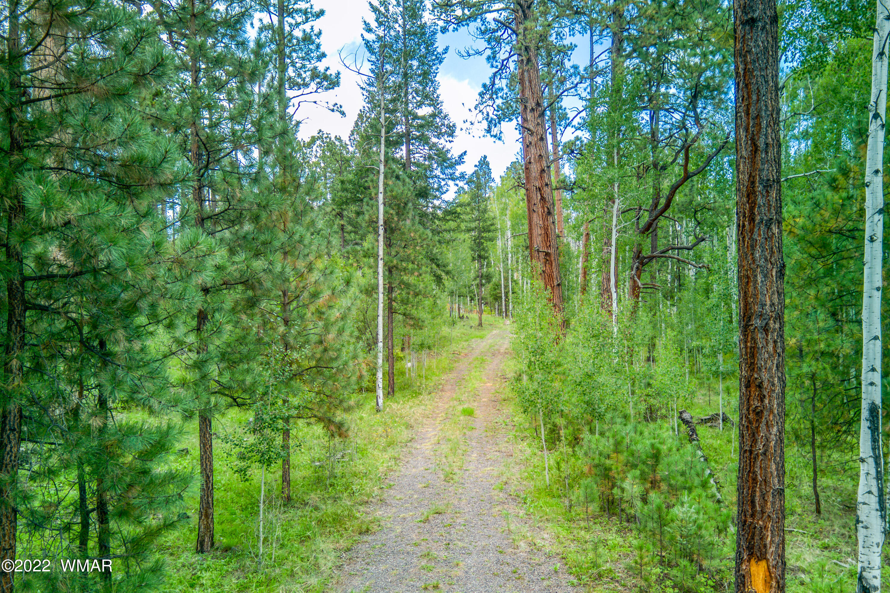 2 N1063 Greer, AZ 85927 - Photo 1 of 10