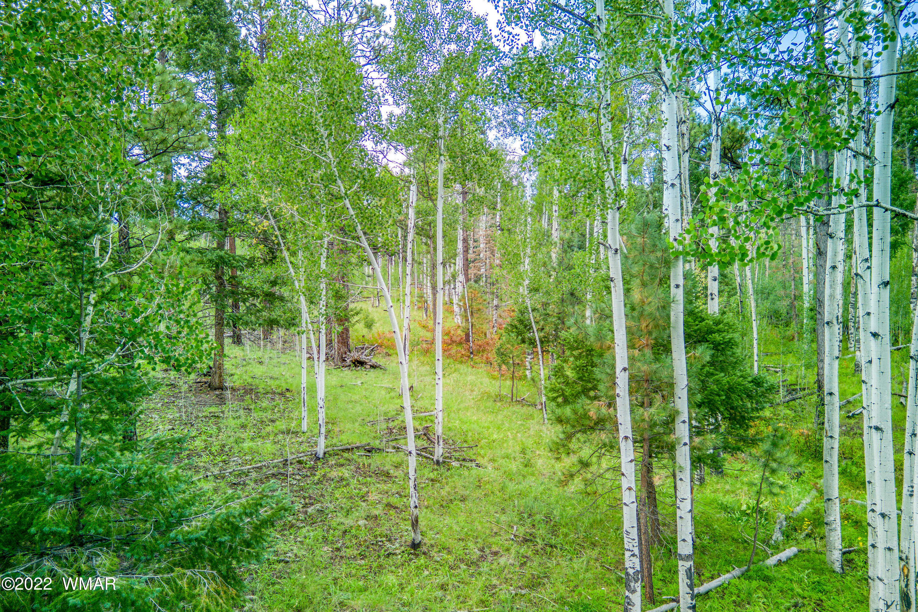 2 N1063 Greer, AZ 85927 - Photo 2 of 10