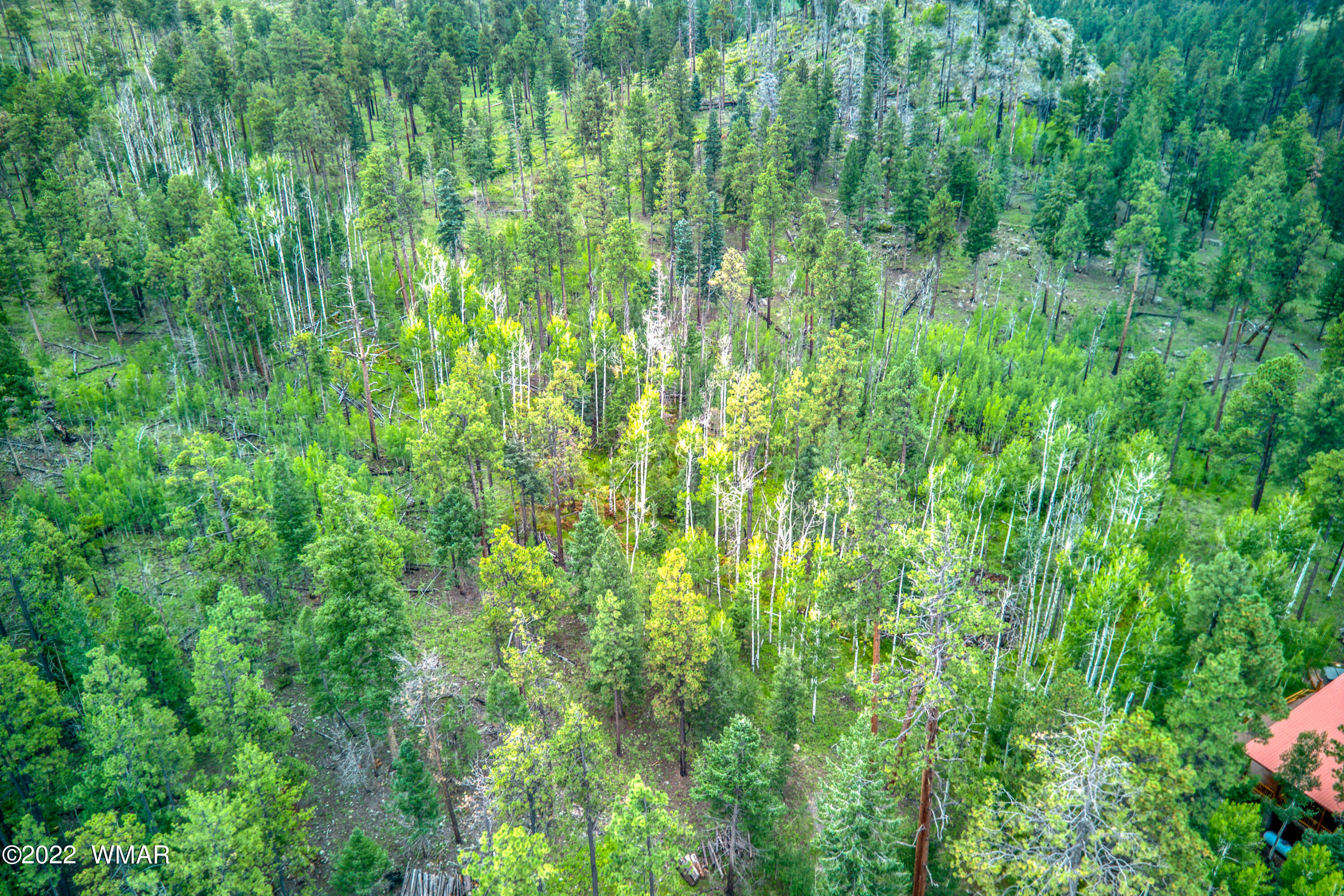 2 N1063 Greer, AZ 85927 - Photo 5 of 10