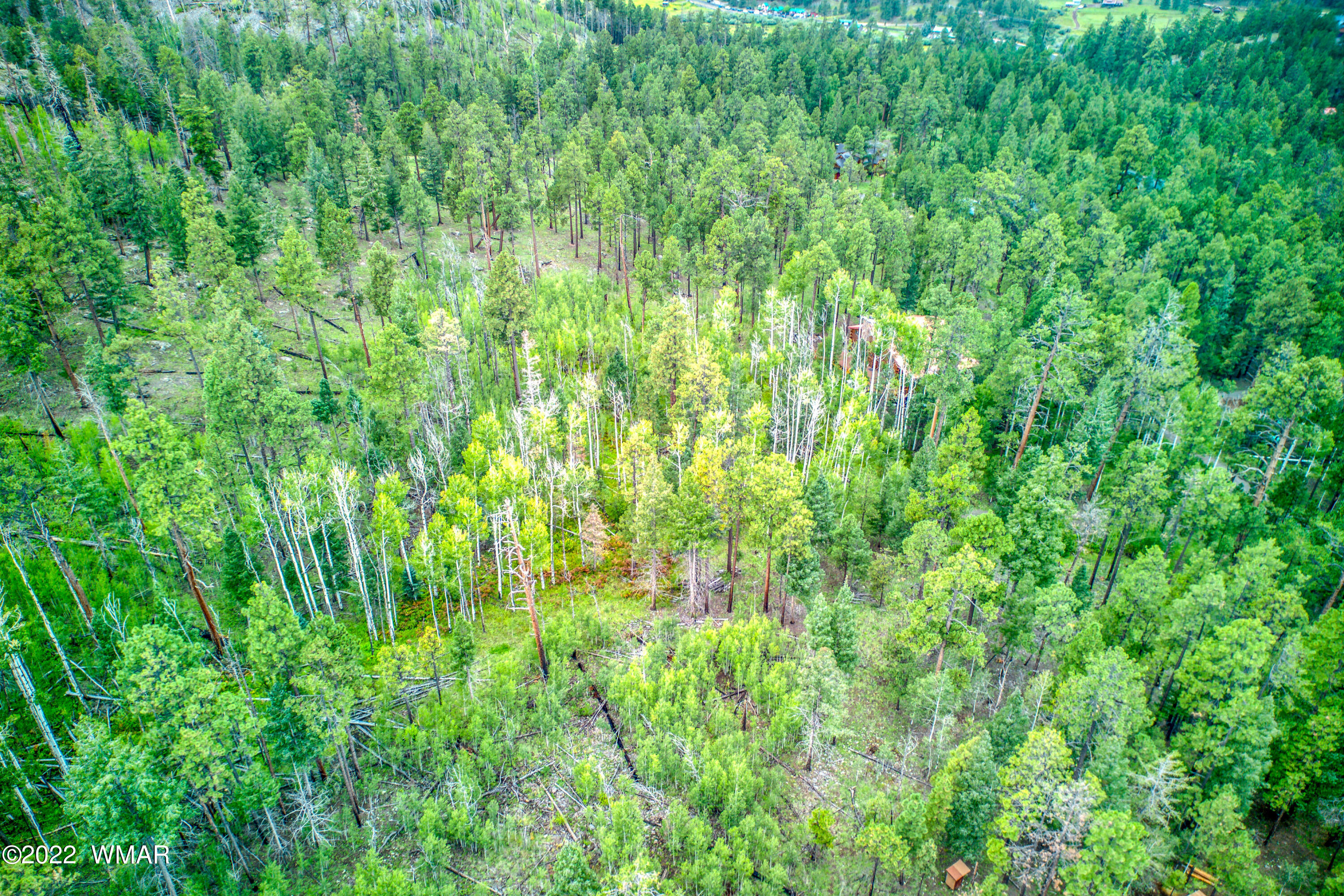 2 N1063 Greer, AZ 85927 - Photo 6 of 10
