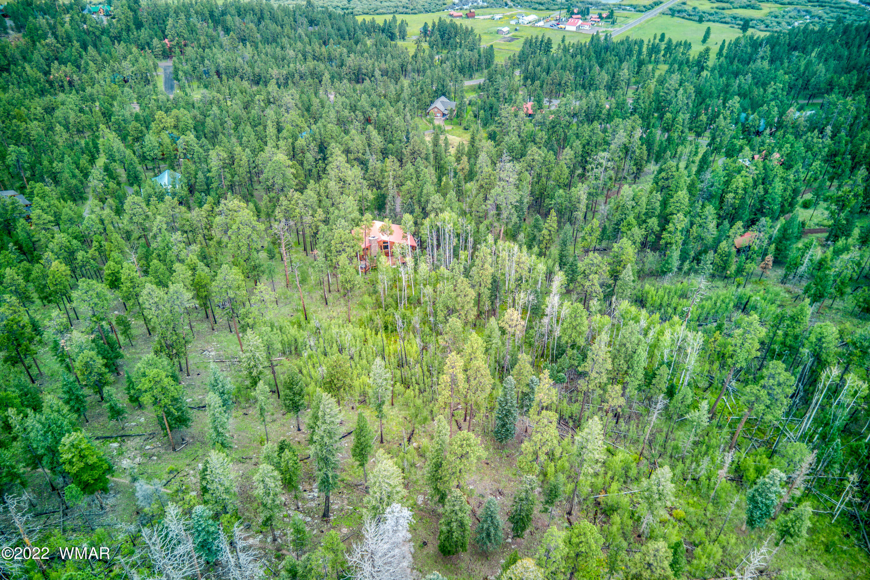 2 N1063 Greer, AZ 85927 - Photo 7 of 10