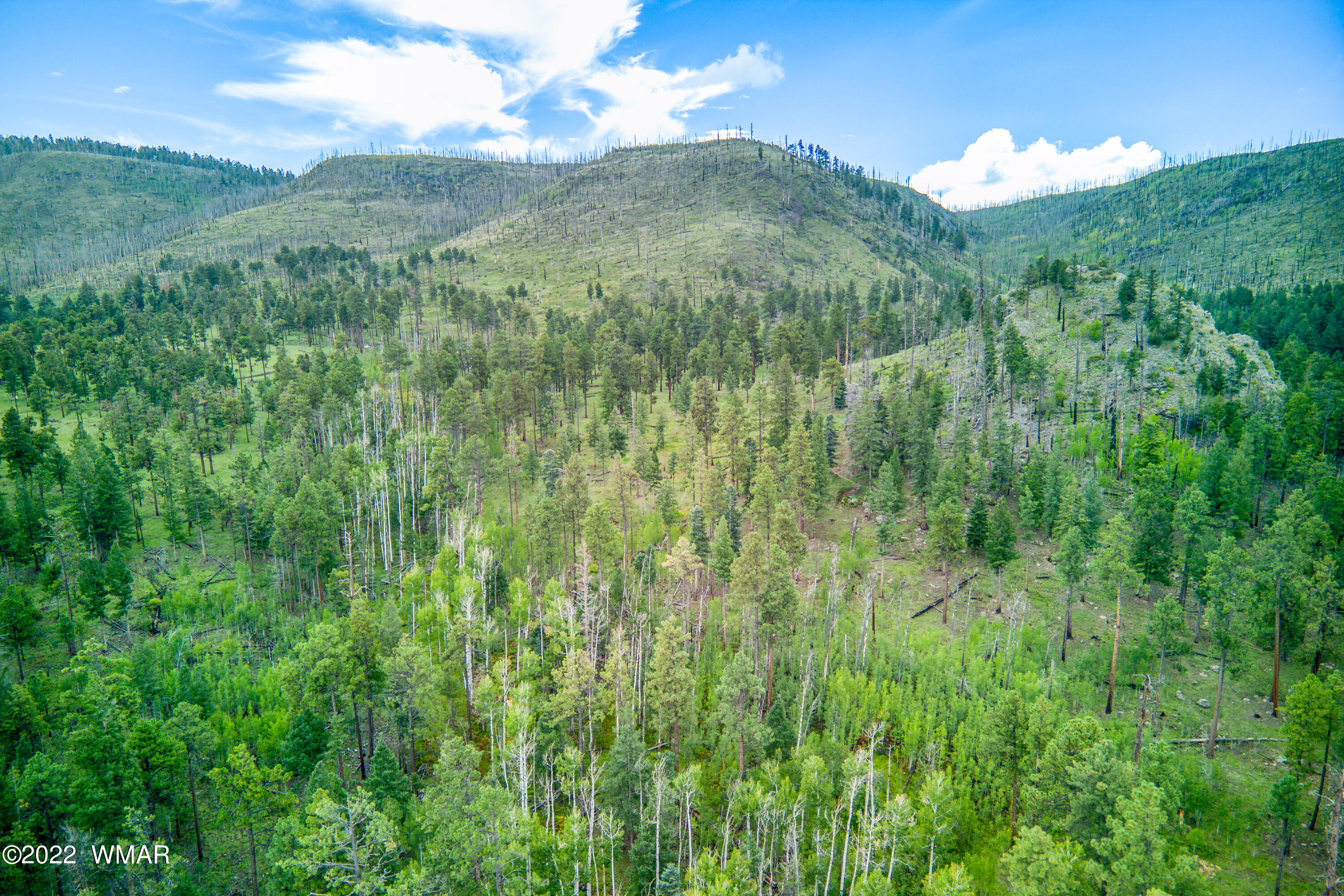 2 N1063 Greer, AZ 85927 - Photo 10 of 10