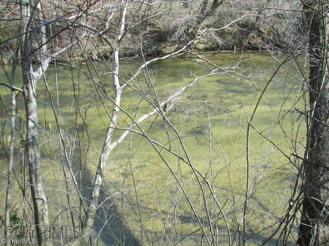 Xx Xx Reeves Road Siloam, NC 27047 - Photo 5 of 6 Other.