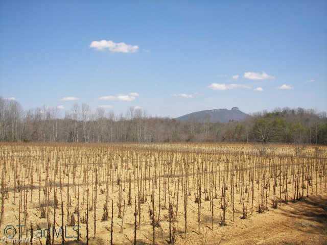 Xx Xx Reeves Road Siloam, NC 27047 - Photo 6 of 6 Other.