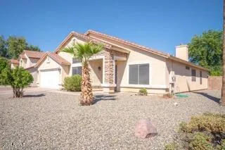 a backyard of a house with potted plants and large tree