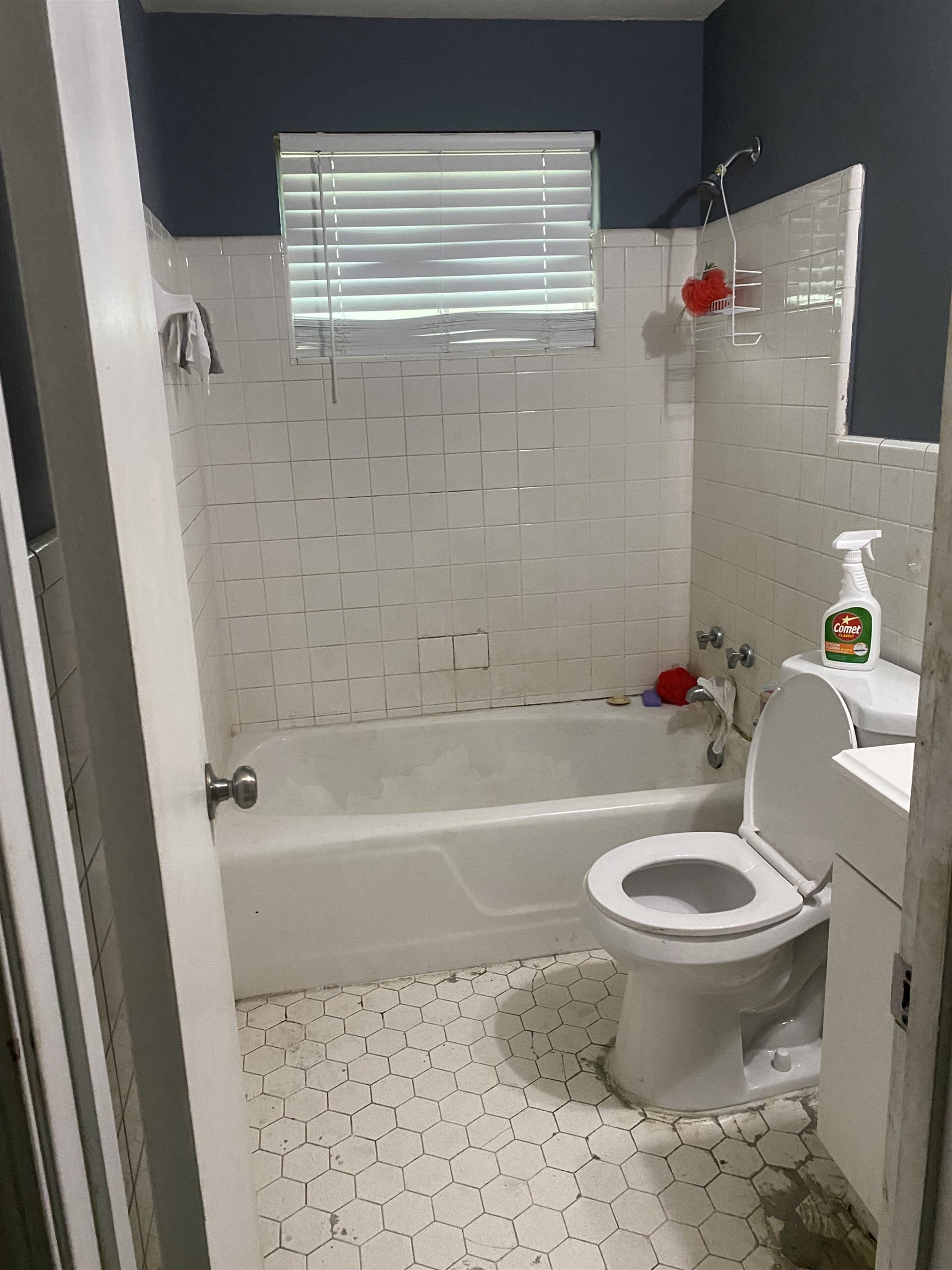 5466 Cottonwood Road Memphis, TN 38115 - Photo 13 of 16 a bath room with a toilet and a shower