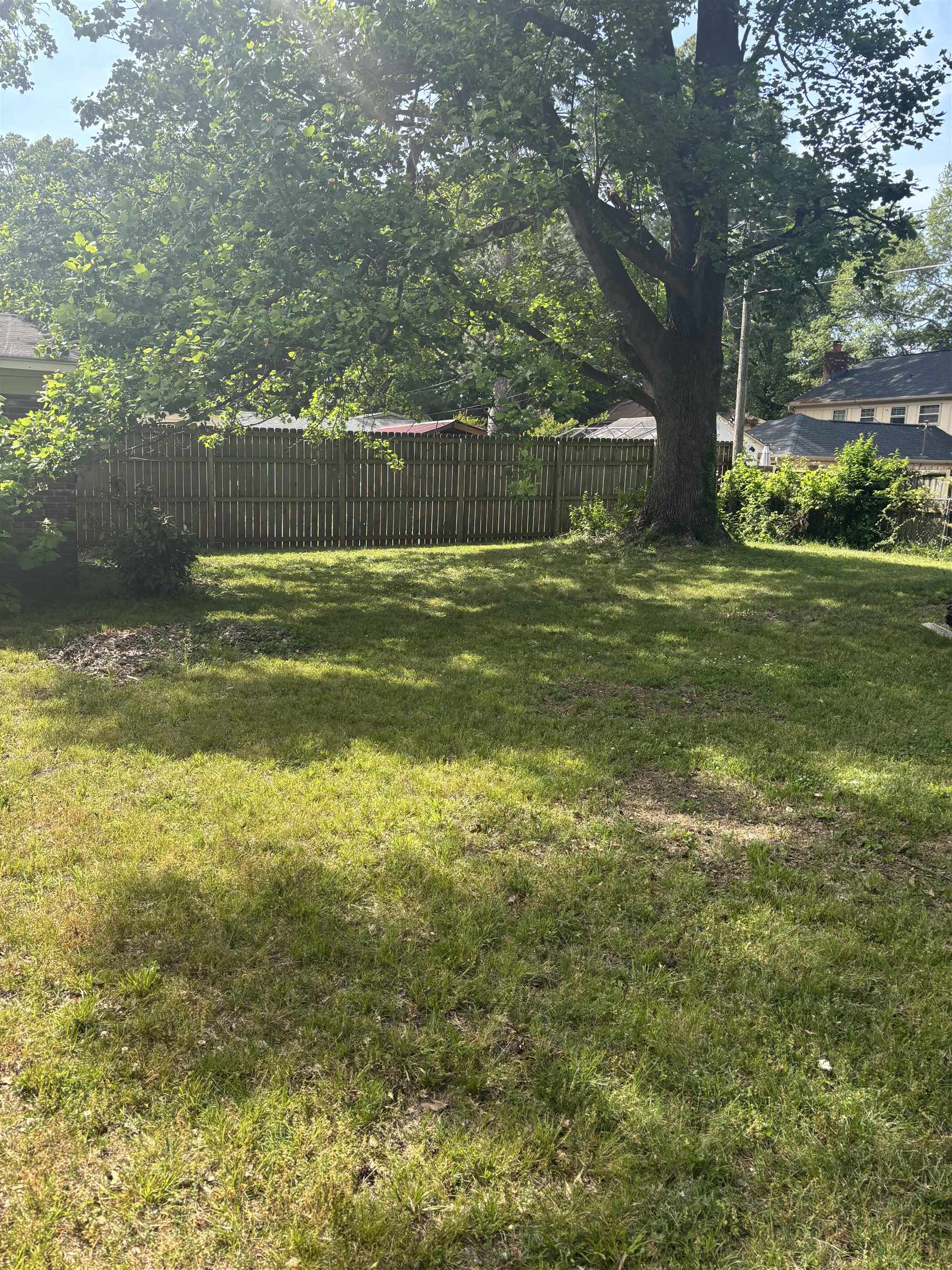 5466 Cottonwood Road Memphis, TN 38115 - Photo 15 of 16 a view of a yard with a trees