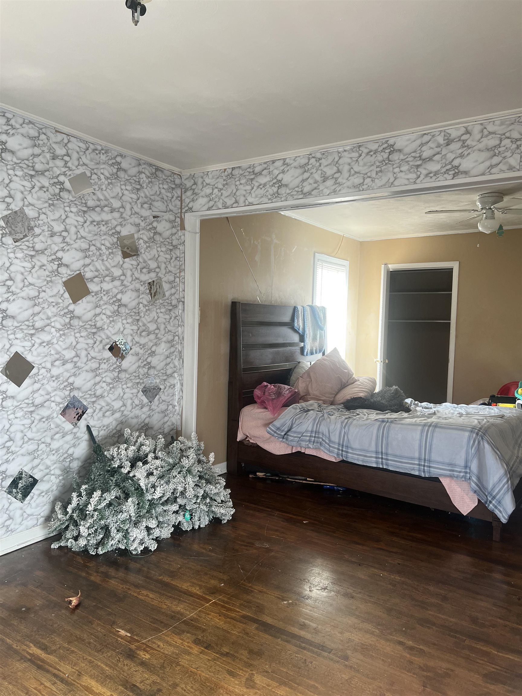 5466 Cottonwood Road Memphis, TN 38115 - Photo 2 of 5 a bedroom with a bed dresser and a window