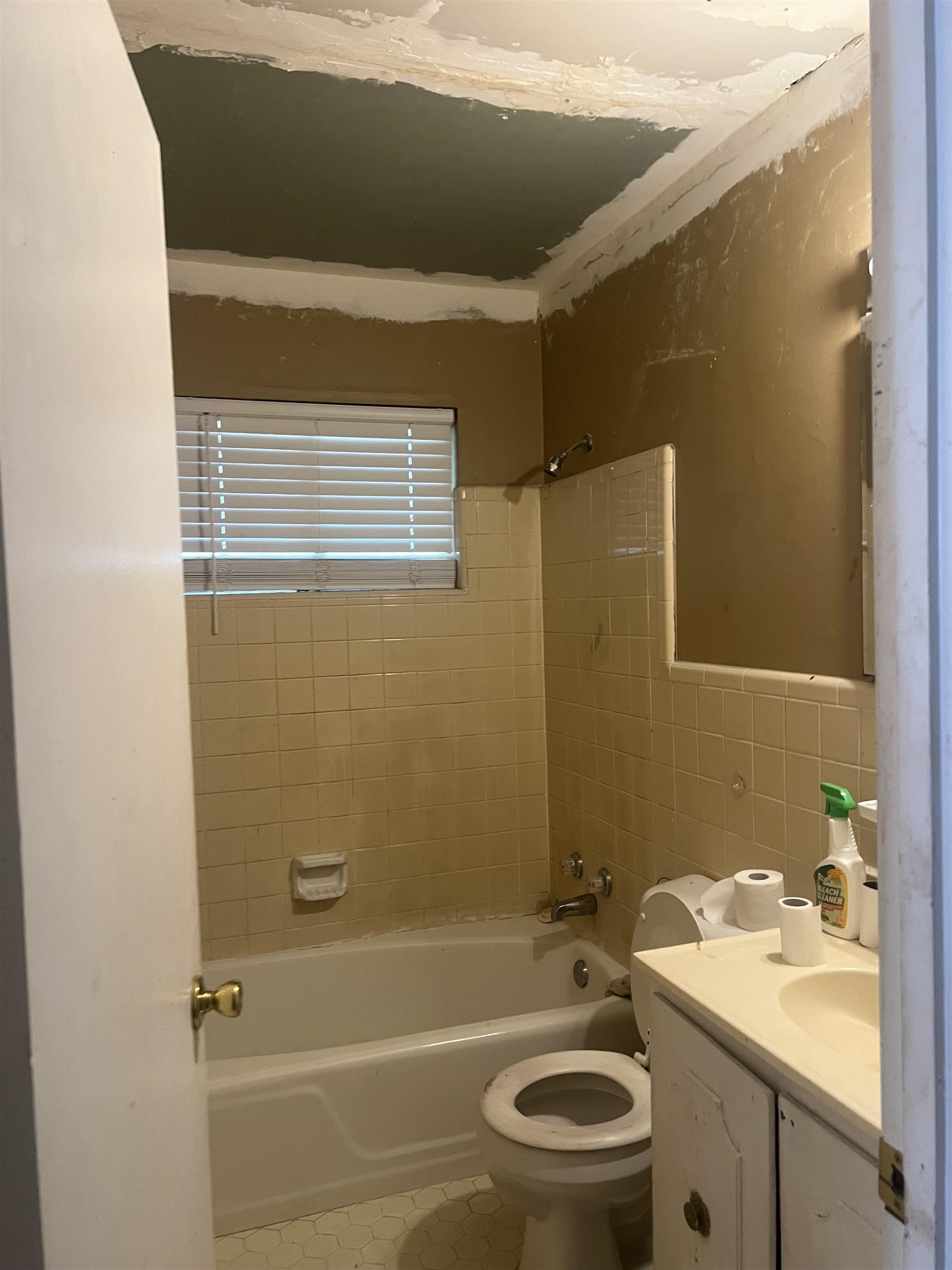 5466 Cottonwood Road Memphis, TN 38115 - Photo 3 of 5 a bathroom with a sink toilet and shower