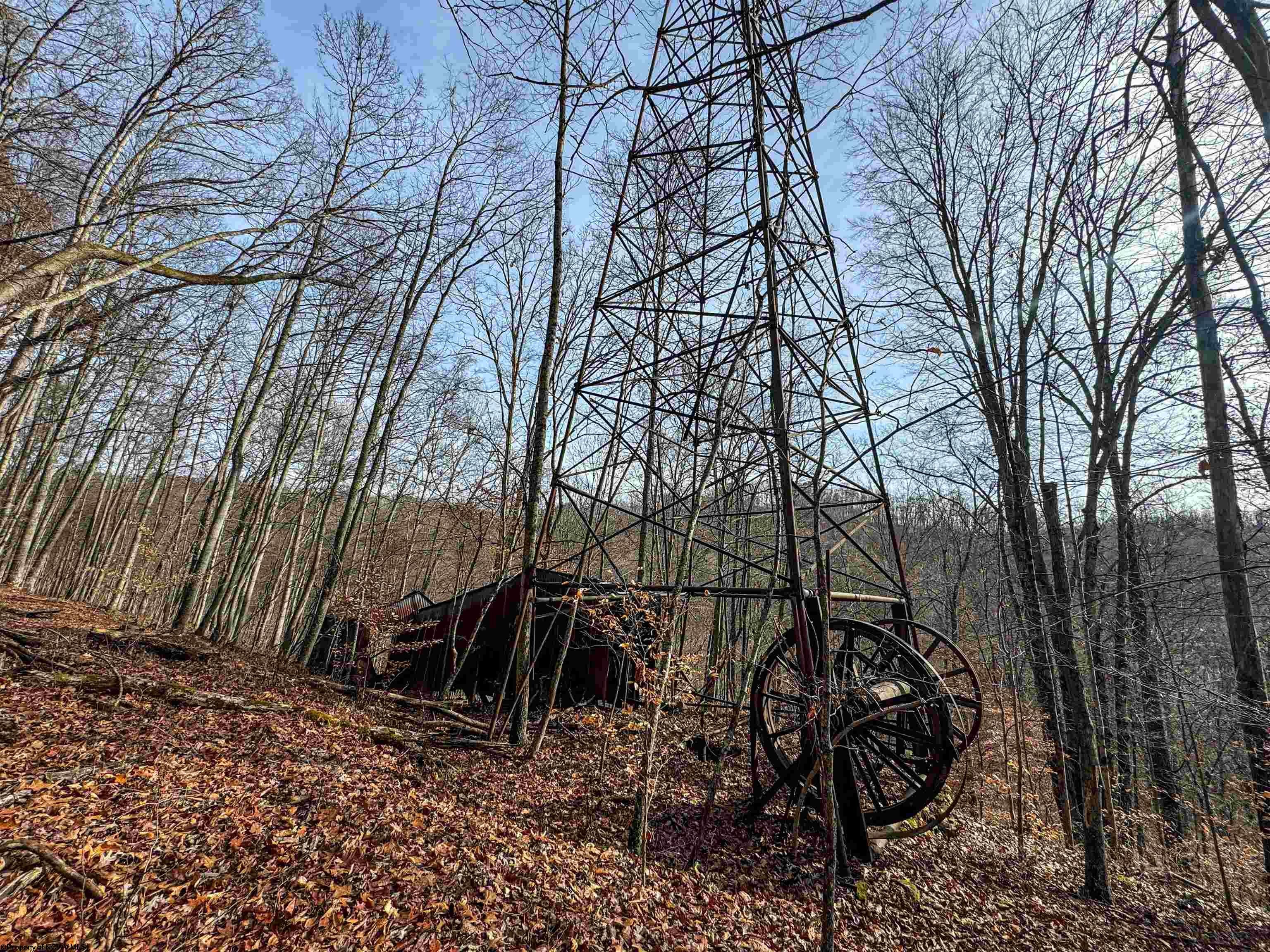 797 Big Elk Road Wallace, WV 26448 - Photo 8 of 46 Gallery Image 8