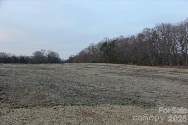 a view of a field