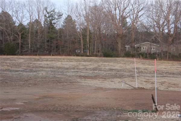 a view of a yard with trees