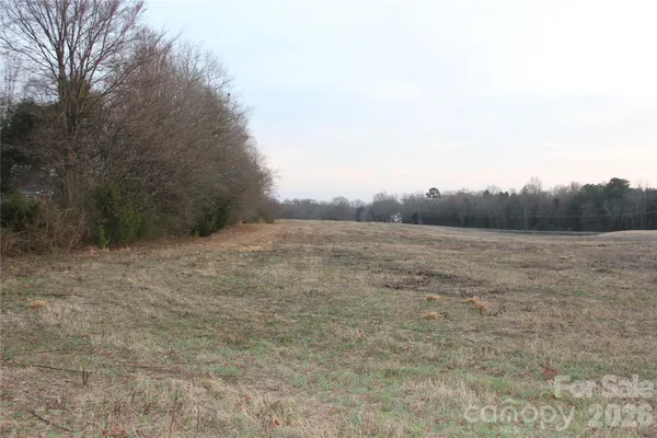 a view of a dry yard with trees