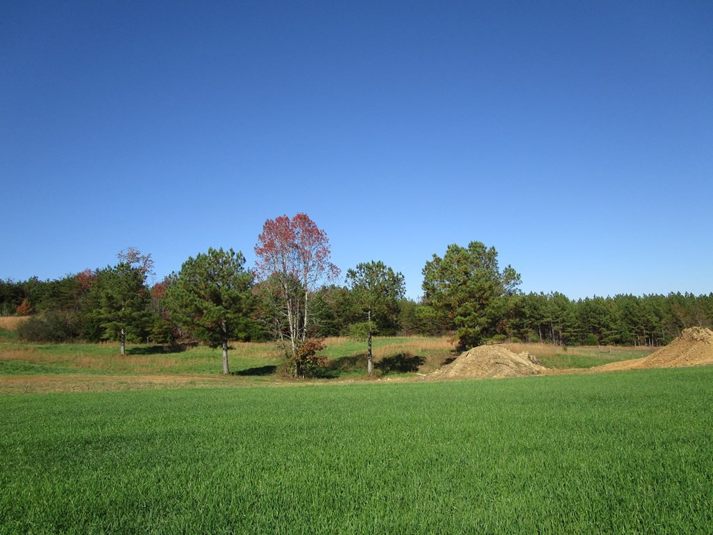 0 Hwy 163 Riceville Tn 37370 Riceville, TN 37370 - Photo 4 of 11