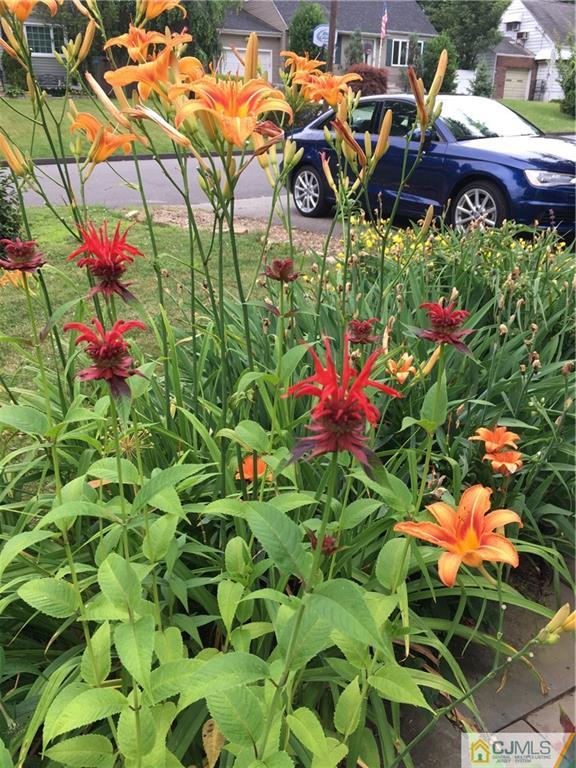 45 South Pennington Road New Brunswick, NJ 08901 - Photo 18 of 21 a view of a flower