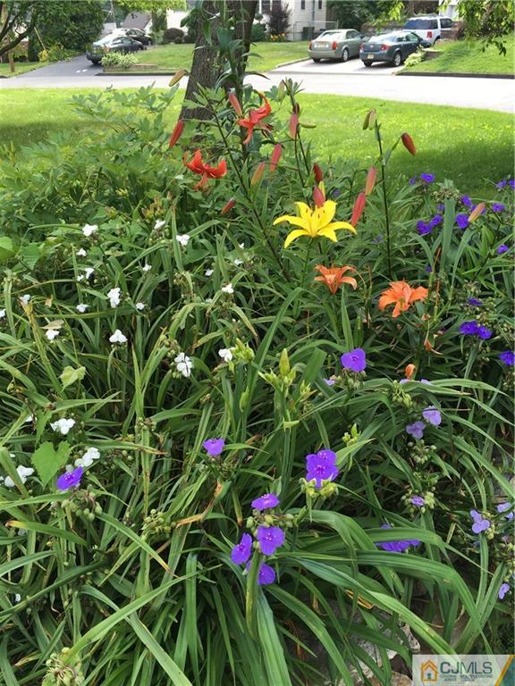 45 South Pennington Road New Brunswick, NJ 08901 - Photo 21 of 21 a view of a flower in a garden