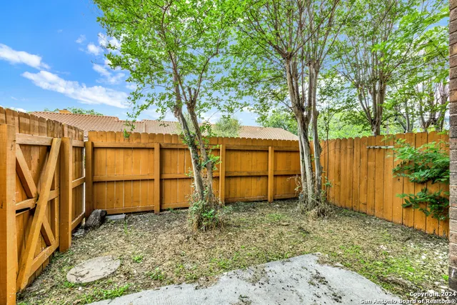 a view of a backyard