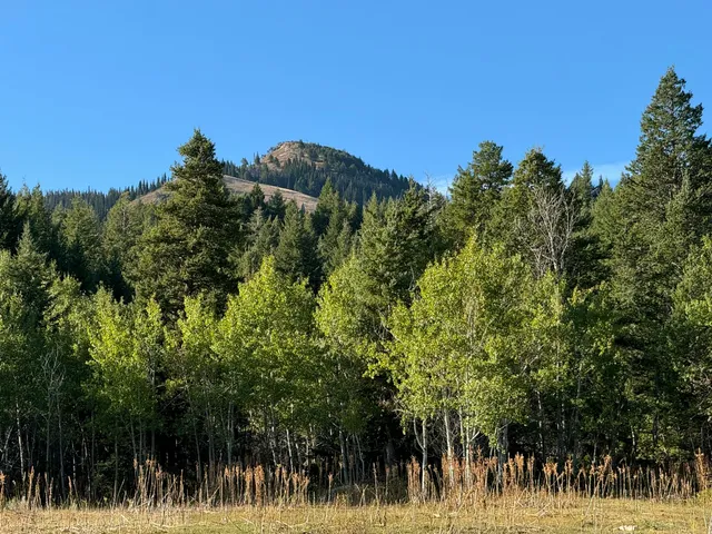 $16,400,000 | 1200 Lands Creek Road, Albion, ID 83311