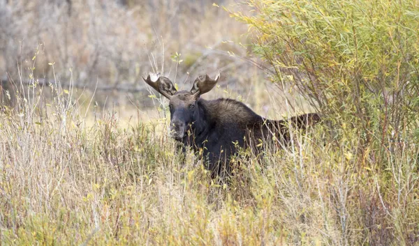 $16,400,000 | 1200 Lands Creek Road, Albion, ID 83311