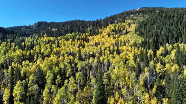 $16,400,000 | 1200 Lands Creek Road, Albion, ID 83311