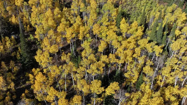 $16,400,000 | 1200 Lands Creek Road, Albion, ID 83311