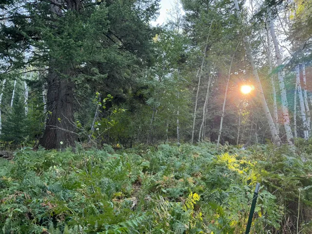 $16,400,000 | 1200 Lands Creek Road, Albion, ID 83311