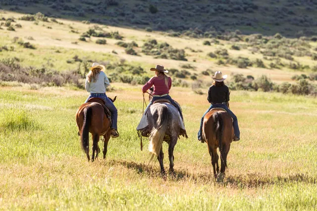 $16,400,000 | 1200 Lands Creek Road, Albion, ID 83311