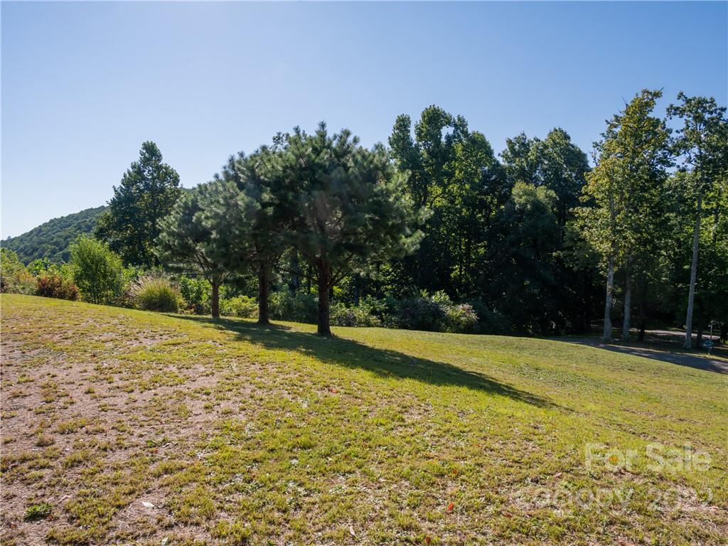 116 Stone Brook Trail Black Mountain, NC 28711 - Photo 26 of 48 a view of a yard with trees