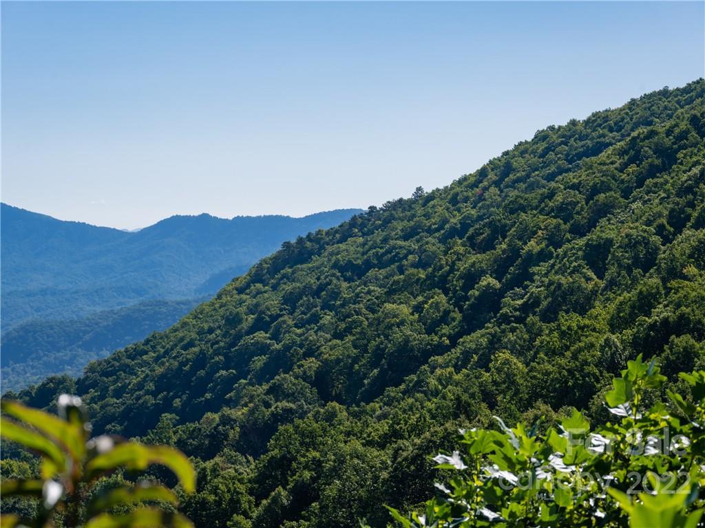 116 Stone Brook Trail Black Mountain, NC 28711 - Photo 34 of 48 a view of a lush green field with mountains in the background