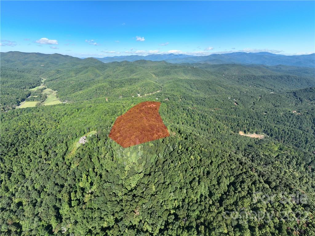 116 Stone Brook Trail Black Mountain, NC 28711 - Photo 37 of 48 a view of a lush green outdoor space with a lake view