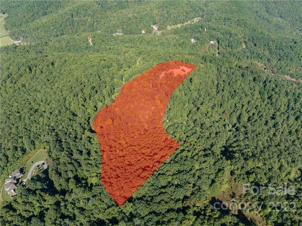 116 Stone Brook Trail Black Mountain, NC 28711 - Photo 38 of 48 a view of a garden