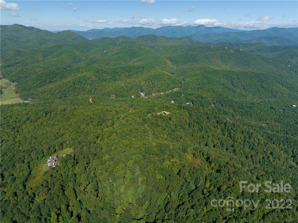 116 Stone Brook Trail Black Mountain, NC 28711 - Photo 44 of 48 a view of a lush green hillside and a mountain