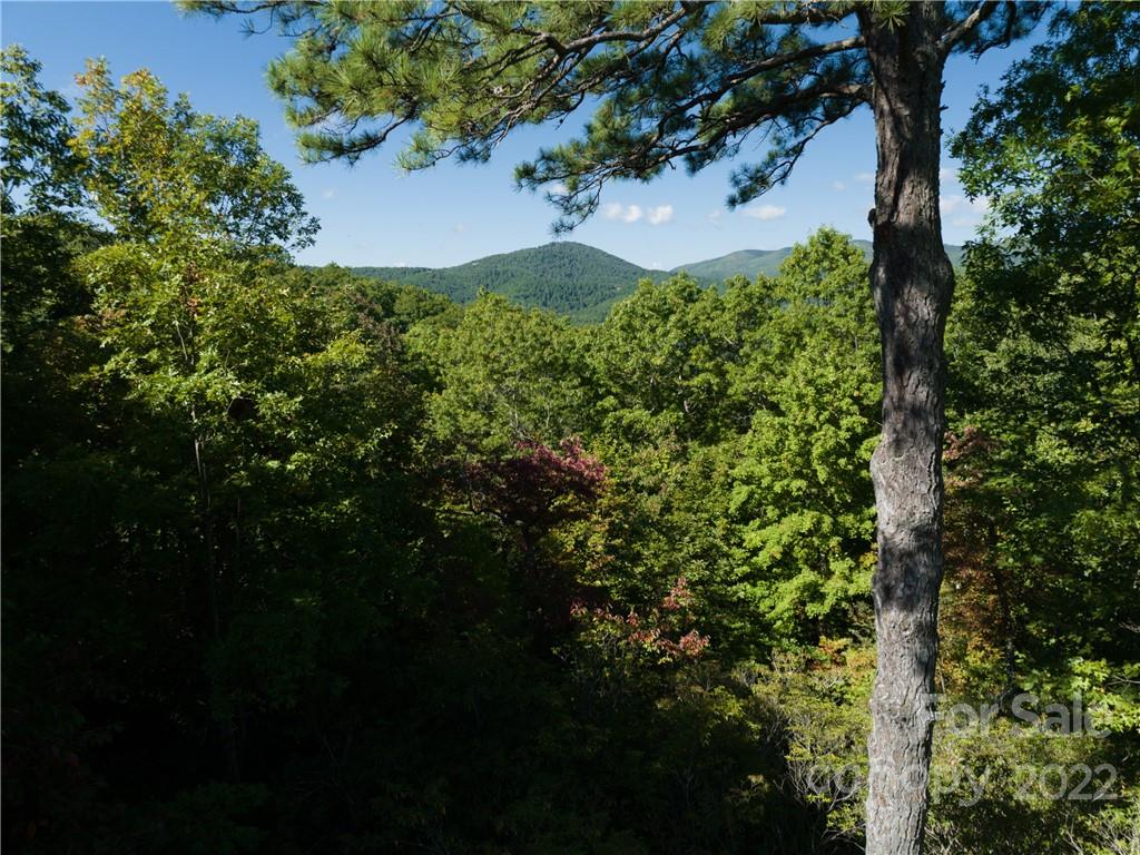 116 Stone Brook Trail Black Mountain, NC 28711 - Photo 47 of 48 a view of outdoor space and a yard