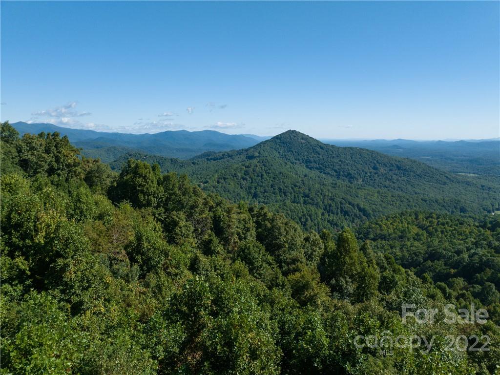 116 Stone Brook Trail Black Mountain, NC 28711 - Photo 48 of 48 a view of a mountain range with lush green forest