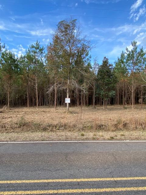 Na Fenn Road Smithdale, MS 39664 - Photo 1 of 3 Main View