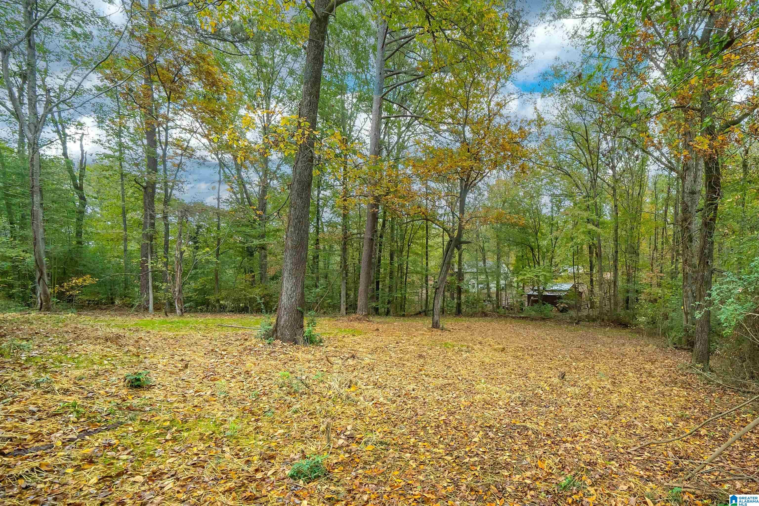 13050 Alpine Circle Lake View, AL 35111 - Photo 2 of 19 Gallery Image 2