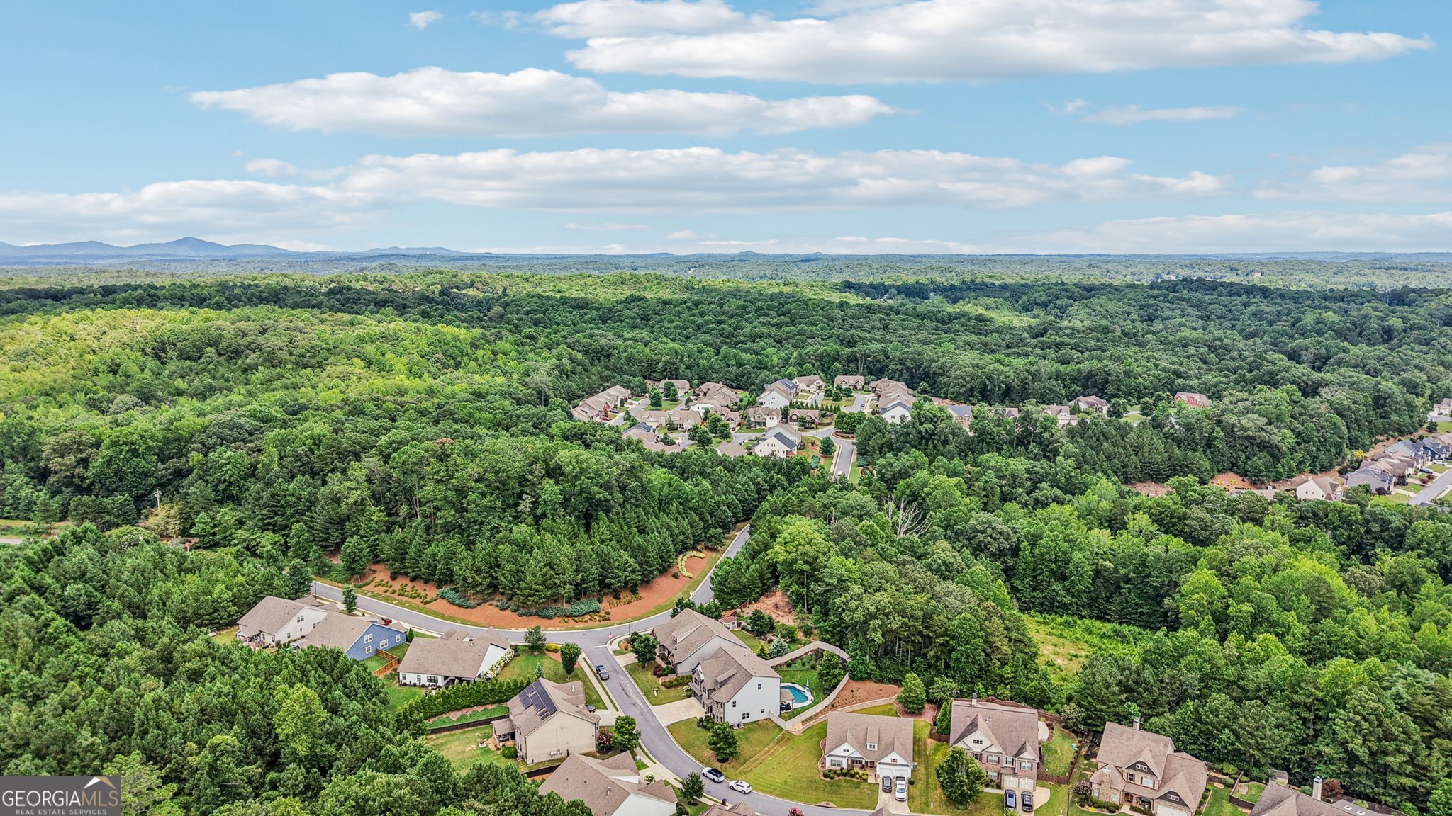 17 Lake Sydney Drive Dawsonville, GA 30534 - Photo 83 of 100 an aerial view of residential houses with outdoor space and trees