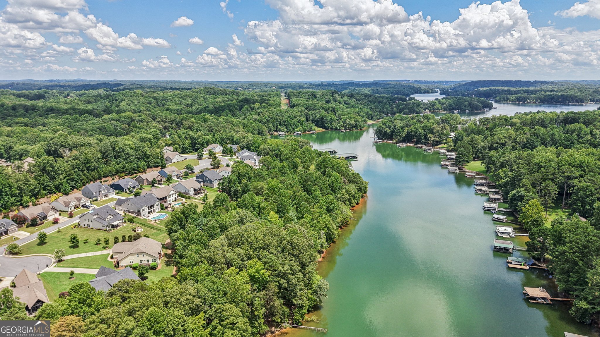 17 Lake Sydney Drive Dawsonville, GA 30534 - Photo 96 of 100 a view of a lake with a yard